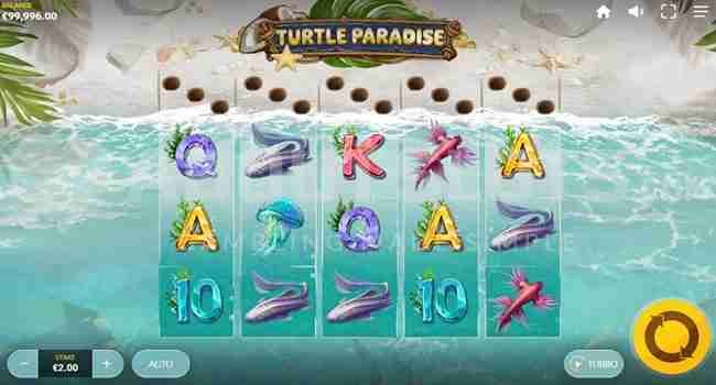 Turtle Paradise (Red Tiger Gaming) Slot Review
